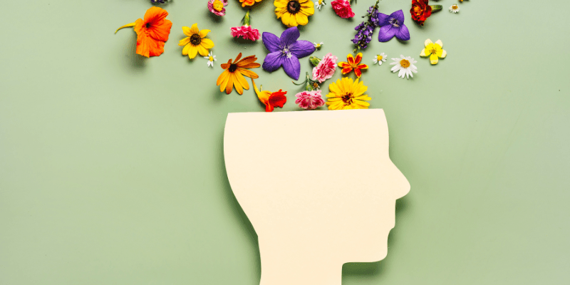 10 Simple Practices to Boost Your Mental Wellness Every Day a silhouette side profile of a person with flowers coming out of their head as an expression of mental wellness